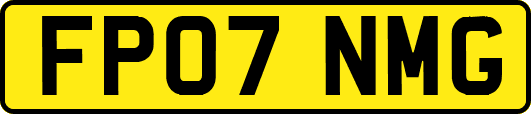 FP07NMG