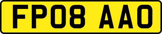 FP08AAO