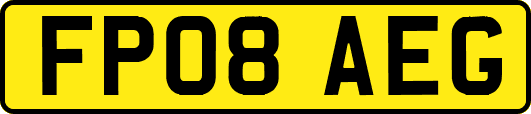 FP08AEG