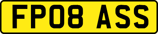 FP08ASS