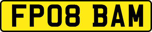FP08BAM