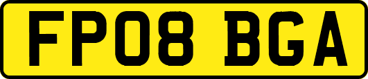 FP08BGA