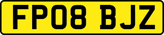 FP08BJZ