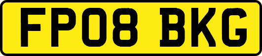 FP08BKG