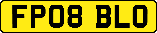 FP08BLO
