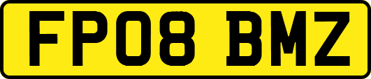 FP08BMZ