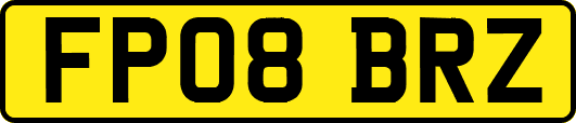 FP08BRZ