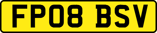FP08BSV