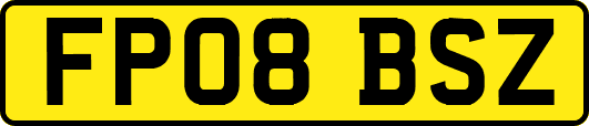 FP08BSZ