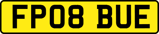 FP08BUE