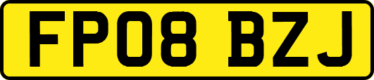 FP08BZJ