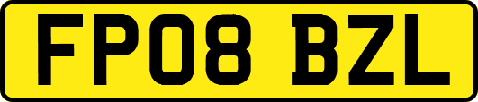 FP08BZL