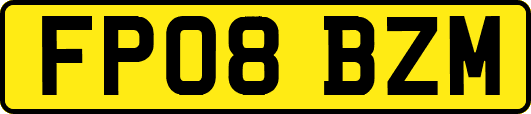 FP08BZM
