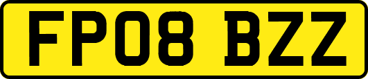 FP08BZZ