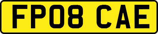 FP08CAE