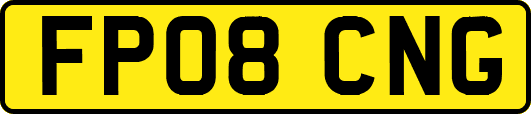 FP08CNG