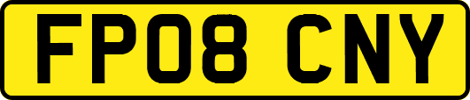 FP08CNY