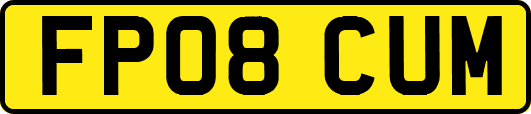 FP08CUM