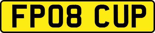 FP08CUP