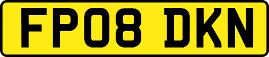 FP08DKN