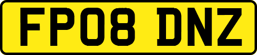 FP08DNZ