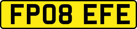 FP08EFE