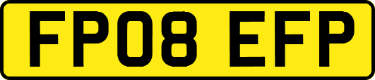 FP08EFP