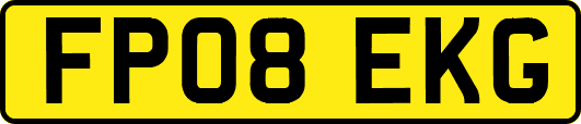 FP08EKG