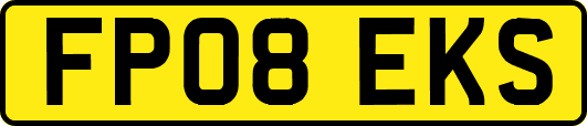 FP08EKS