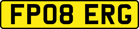 FP08ERG