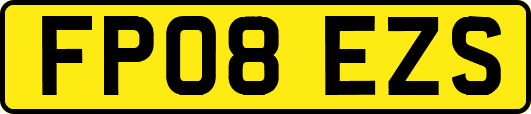 FP08EZS