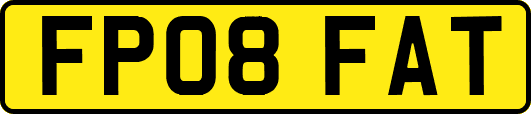 FP08FAT