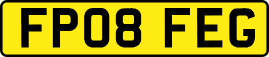 FP08FEG