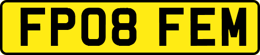 FP08FEM