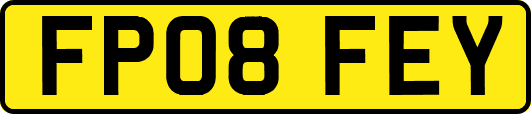 FP08FEY