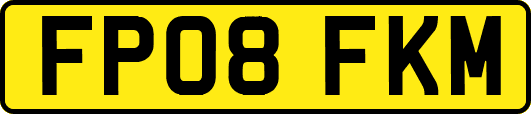 FP08FKM