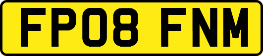 FP08FNM
