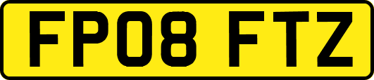 FP08FTZ