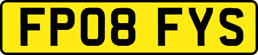 FP08FYS
