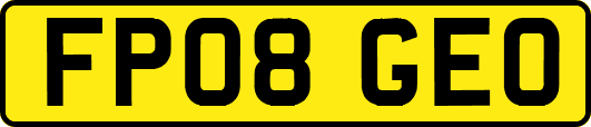 FP08GEO