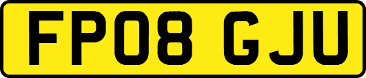 FP08GJU