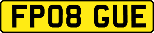 FP08GUE