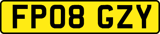 FP08GZY