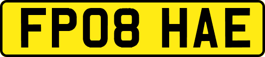 FP08HAE