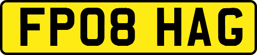 FP08HAG