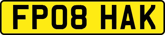 FP08HAK