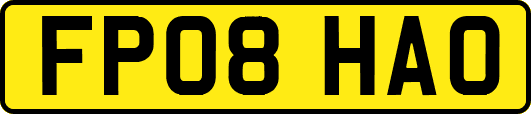 FP08HAO