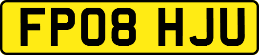 FP08HJU