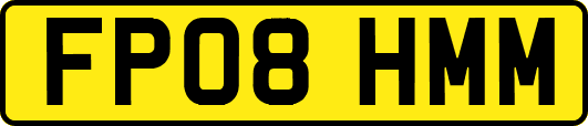 FP08HMM