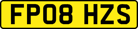 FP08HZS